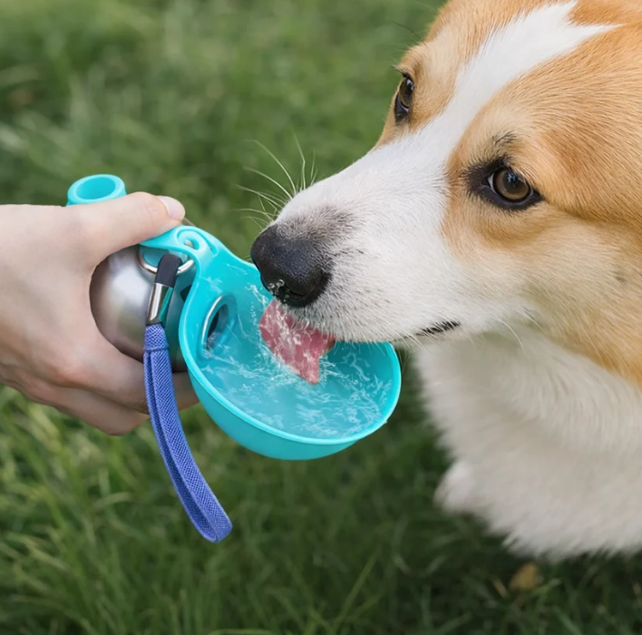 HYDRAPAW Drinkfles voor Onderweg - Een waterfles die je makkelijk kan meenemen, altijd bij de hand!