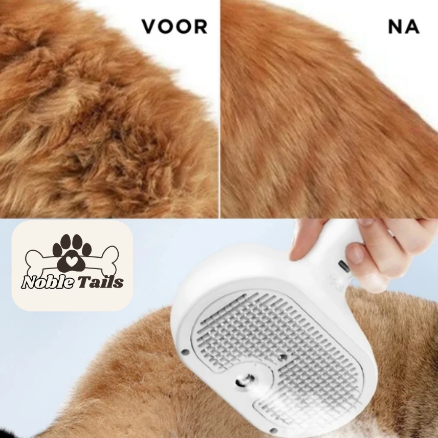 Zo lost de STEAMBRUSH dit op