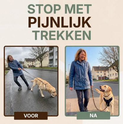 PERFECTWALK Anti-Trek Tuig met Looplijn - Rustiger Wandelen met je hond zonder plotselinge schokken!