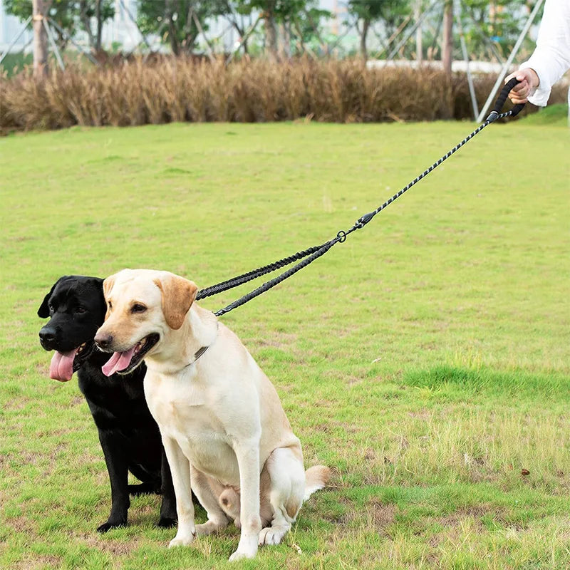 TWINLEAD Dubbele Hondenriem - Twee honden uitlaten zonder problemen!