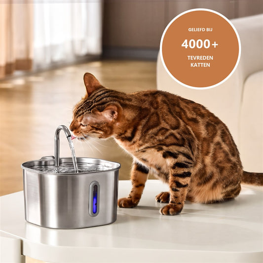 PurrSpring Drinkfontein