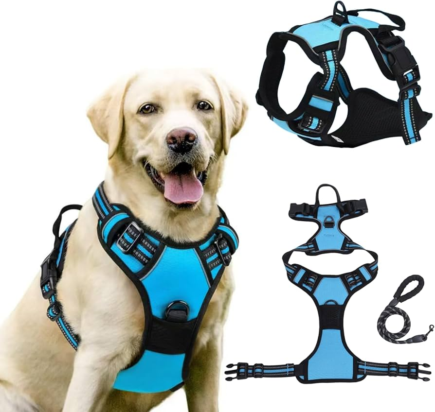 PERFECTWALK Anti-Trek Tuig met Looplijn - Rustiger Wandelen met je hond zonder plotselinge schokken!