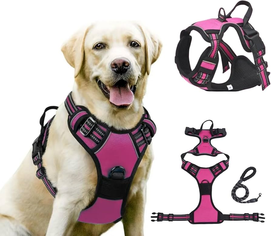PERFECTWALK Anti-Trek Tuig met Looplijn - Rustiger Wandelen met je hond zonder plotselinge schokken!