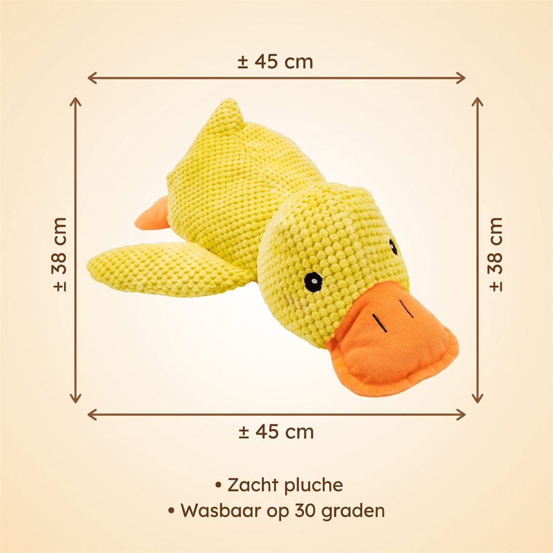 Materiaal en afmetingen
