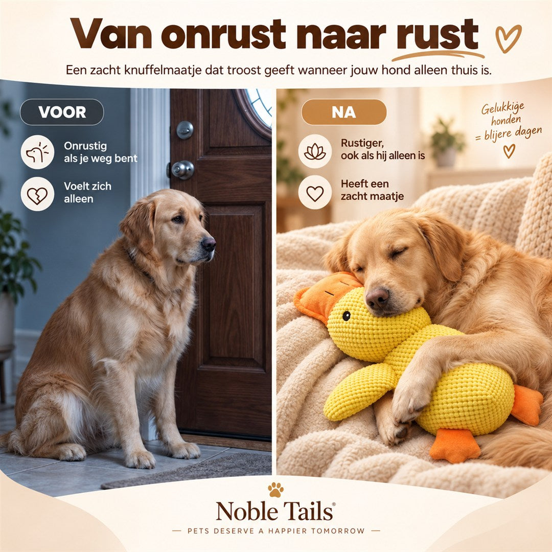 Van onrust naar rust: rustiger, blijere hond