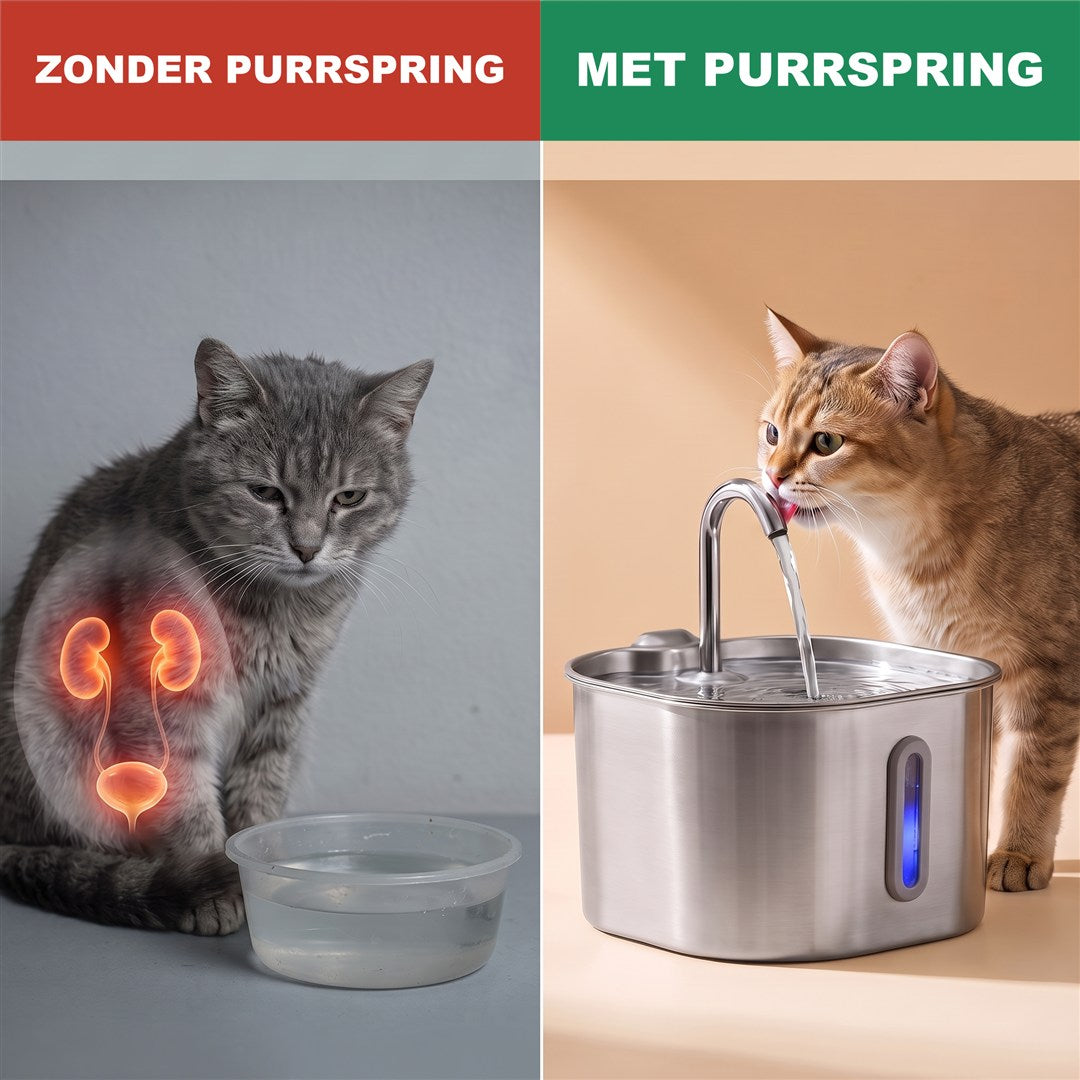 Te weinig drinken belast nieren en blaas; goed gehydrateerd met de fontein