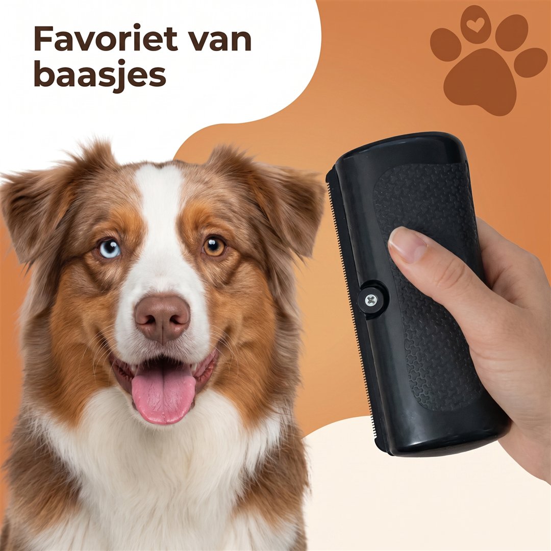 Favoriet van baasjes