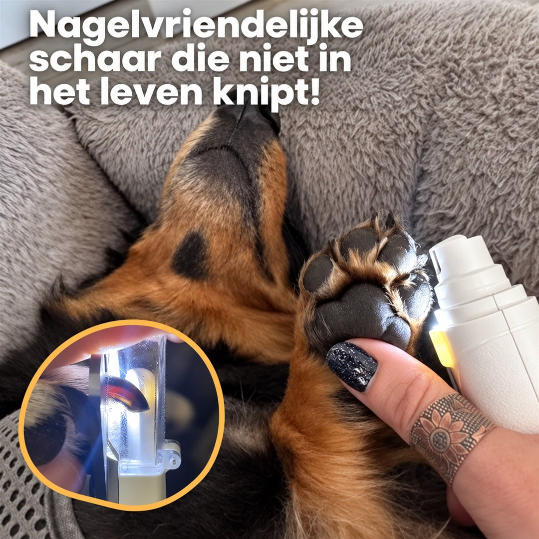 LED-licht schijnt door de nagel en toont het bloedvat