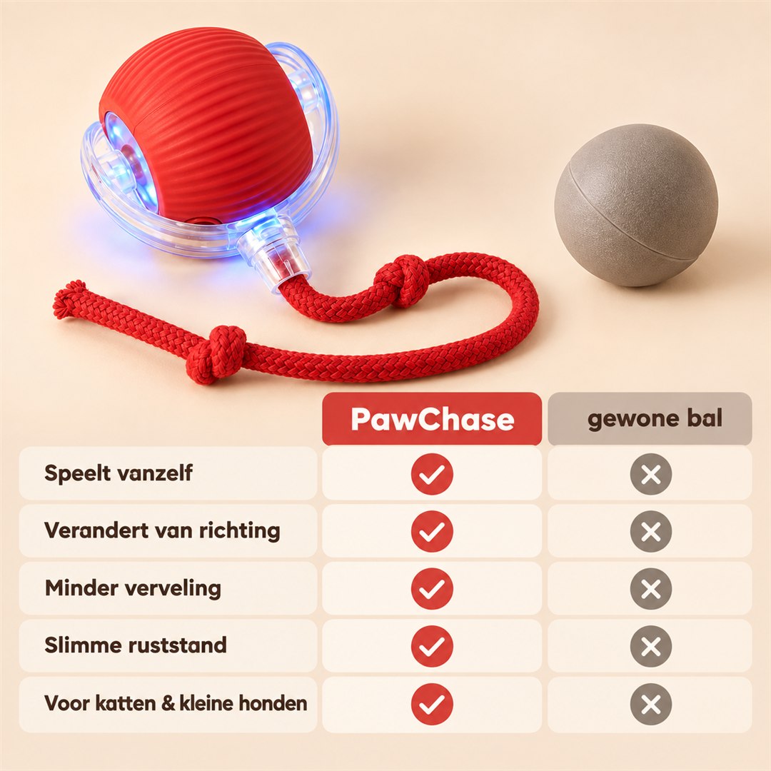 PawChase vs. een gewone bal
