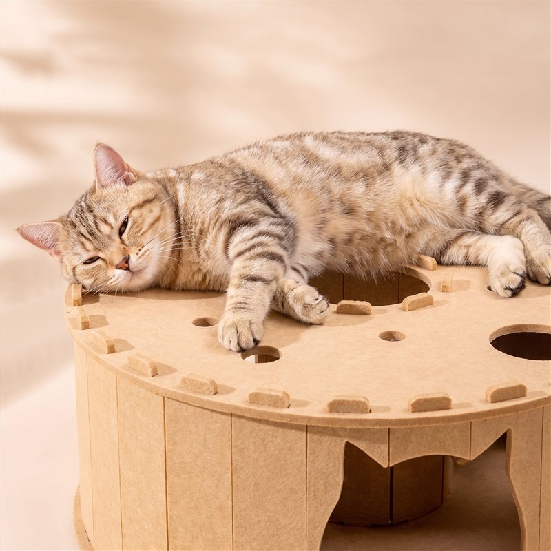 Tevreden kat ligt bovenop de PurrCastle