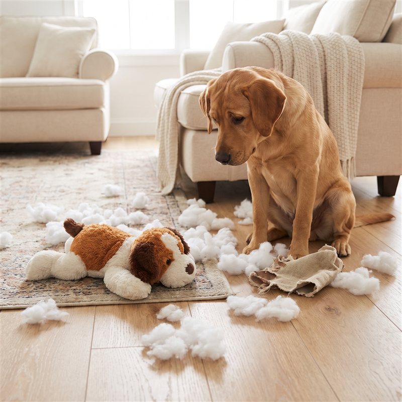 Kapotte knuffel met vulling op de vloer