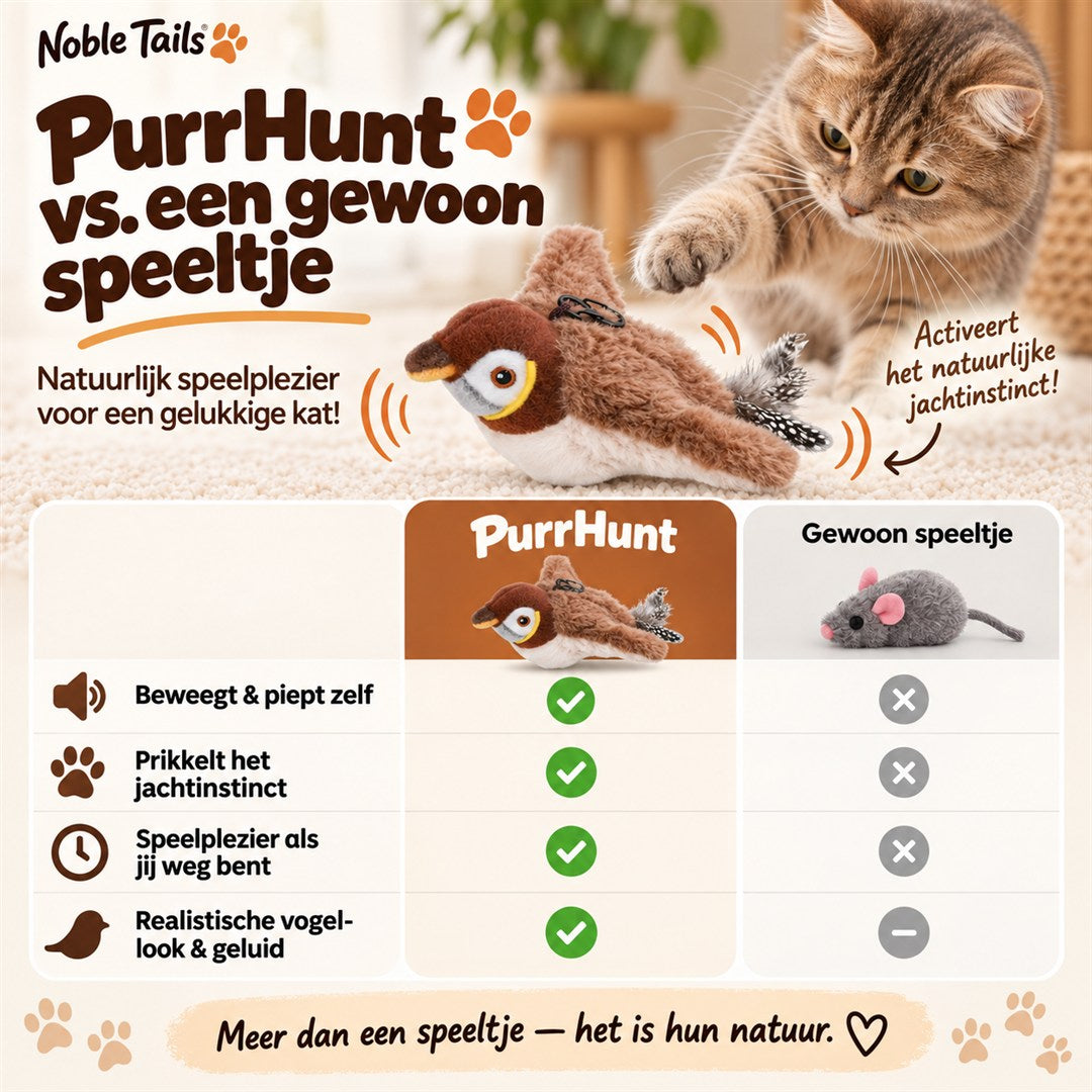 PurrHunt vs. een gewoon speeltje