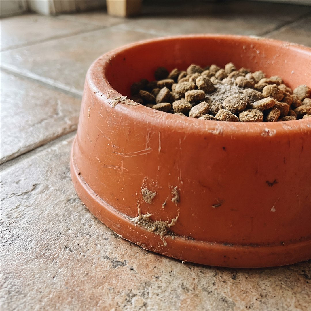Versleten plastic bak vol bacteriën